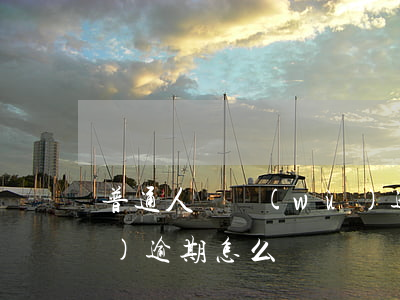 普通人債務(wù)逾期(普通人債務(wù)逾期怎么辦)