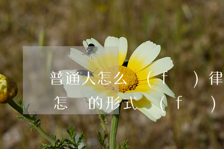 普通人怎么發(fā)律師函(律師函一般是怎樣的形式發(fā)給你)
