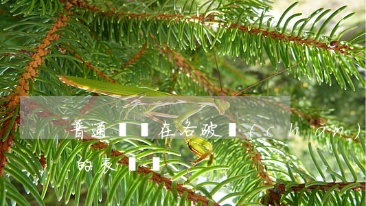 普通債權在各破產(chǎn)程序中享有的表決權