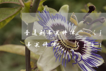 普通刑事案件律師費(fèi)多少(普通民事案件律師費(fèi)多少)