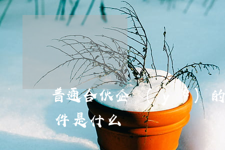 普通合伙企業(yè)的設(shè)立條件是什么