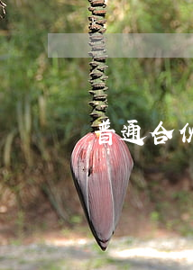 普通合伙退伙協議何時生效