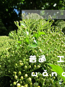 普通員工欠網(wǎng)貸60萬(欠網(wǎng)貸60萬怎么辦)