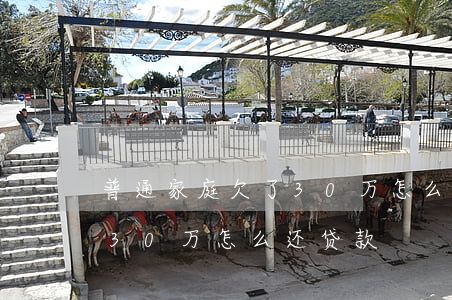 普通家庭欠了30万怎么还-普通家庭欠了30万怎么还贷款