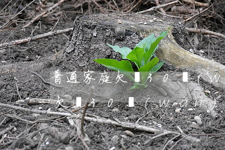 普通家庭欠債30萬(wàn)-普通家庭欠債30萬(wàn)元