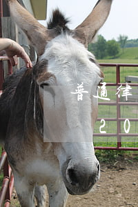 普通律師一個月多少錢(普通律師一個月多少錢2018)