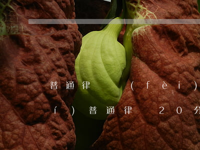普通律師費(fèi)用多少一小時(shí)(普通律師20分鐘的咨詢費(fèi))