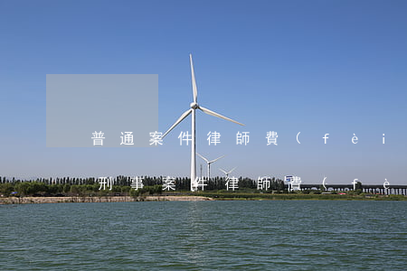 普通案件律師費(fèi)一般多少錢(普通刑事案件律師費(fèi)多少)