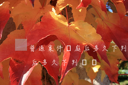 普通案件開庭后多久下判決書(普通案件開庭后多久下判決書)