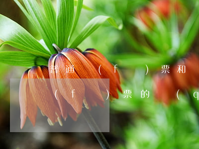 普通發(fā)票和專(zhuān)用發(fā)票的區(qū)別