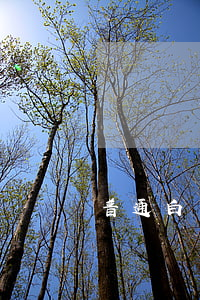 普通白條逾期會(白條會逾期嗎)