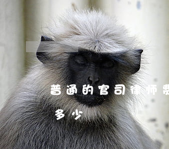 普通的官司律师费大概是多少(一般律师费要多少)