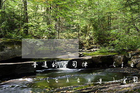普通的官司律師費(fèi)大概是多少(一場(chǎng)官司的律師費(fèi)是多少)