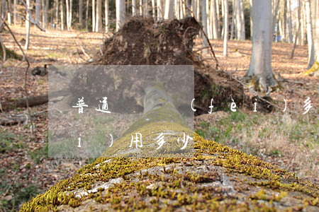 普通訴訟費(fèi)多少錢(訴訟費(fèi)用多少)