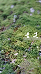 普通離婚律師費(fèi)是多少(離婚律師費(fèi)離婚案件律師費(fèi)多少)