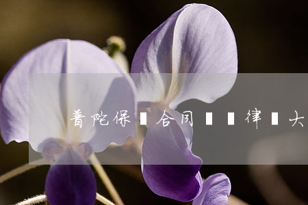 普陀保證合同糾紛律師大概多少錢