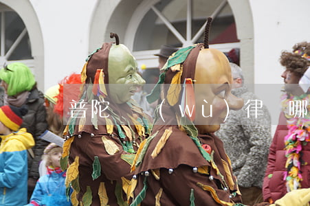 普陀債務(wù)律師哪個好