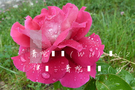 普陀債務(wù)轉(zhuǎn)讓合同律師-普陀債務(wù)轉(zhuǎn)讓合同律師