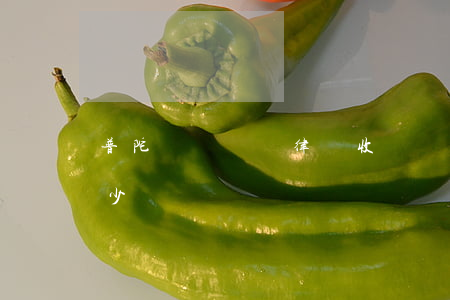 普陀債權債務律師收費(債權債務律師費用多少)