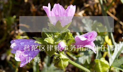 普陀区律师事务所地址在哪里(区律师事务所律师)