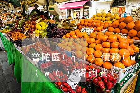 普陀區(qū)債務(wù)律師法律服務(wù)咨詢費(fèi)用-普陀區(qū)債務(wù)律師法律服務(wù)咨詢費(fèi)用多少