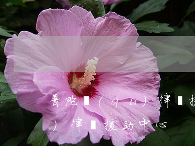 普陀區(qū)律師援助中心(普陀區(qū)律師援助中心)