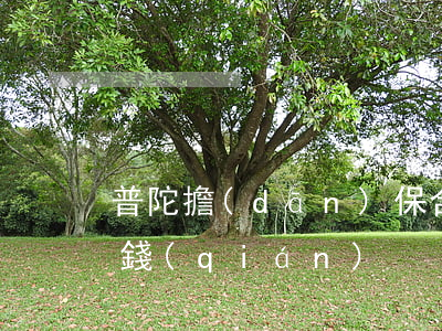 普陀擔(dān)保合同糾紛律師大概多少錢(qián)