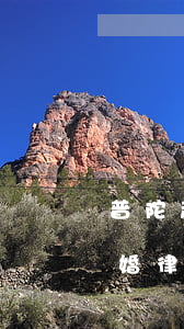 普陀起诉离婚律师大概要多少钱(普陀起诉离婚律师大概要多少钱)