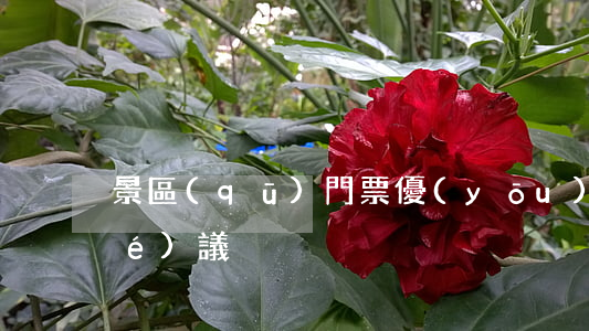 景區(qū)門票優(yōu)惠協(xié)議