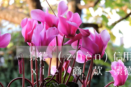 景德鎮(zhèn)信用卡還不上怎么協(xié)商還款-景德鎮(zhèn)信用卡還不上怎么協(xié)商還款呢