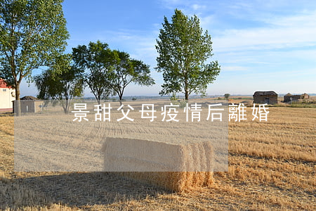 景甜父母疫情后離婚