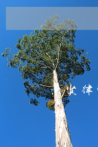 景贤律师事务所靠谱么(义贤律师事务所怎么样)