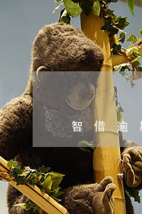 智借逾期1天(智借逾期1天)