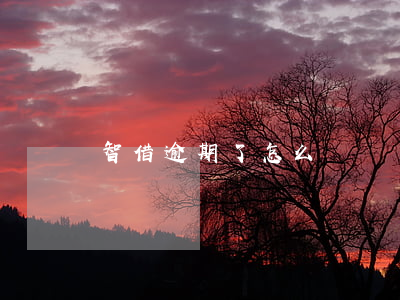 智借逾期了怎么辦