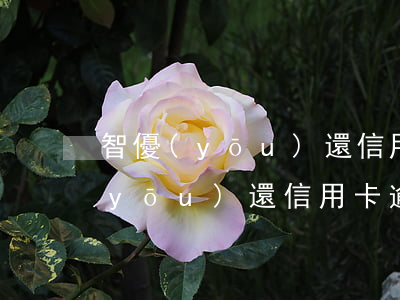 智優(yōu)還信用卡逾期后果-智優(yōu)還信用卡逾期后果