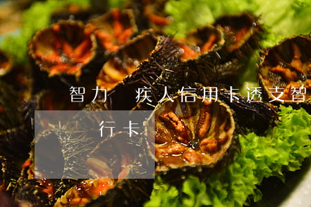 智力殘疾人信用卡透支(智力殘疾人如何辦理銀行卡)