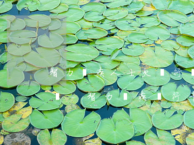智力殘疾人士欠銀行錢可以優(yōu)惠嗎-智力殘疾 銀行卡