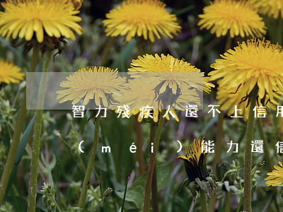 智力殘疾人還不上信用卡怎么辦-殘疾人沒(méi)能力還信用卡會(huì)怎么樣