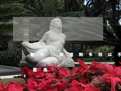 智力殘疾信用卡可以不還嗎(智力障礙可以買重疾嗎)