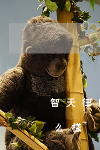 智天律師事務所真假(慧海天合律師事務所怎么樣)