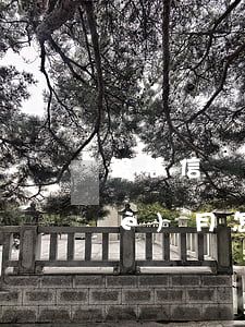 智慧信創(chuàng)富逾期一個(gè)月怎么辦-智慧信創(chuàng)富逾期一個(gè)月怎么辦