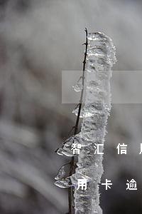 智汇信用卡逾期多久会被起诉(什么情况下信用卡逾期会被起诉)