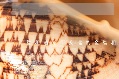 智租逾期不交違約金(智租出行逾期了)
