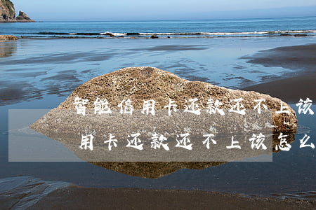 智能信用卡还款还不上该怎么解决-智能信用卡还款还不上该怎么解决呢