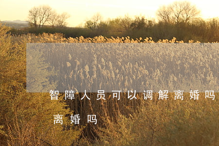 智障人员可以调解离婚吗(智障人员可以调解离婚吗)