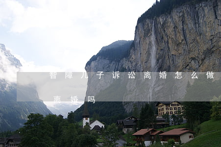智障儿子诉讼离婚怎么做(智障儿童父母可以离婚吗)
