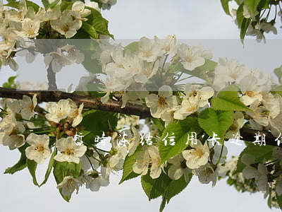 暂时冻结信用卡（逾期信用卡卡冻结止付）