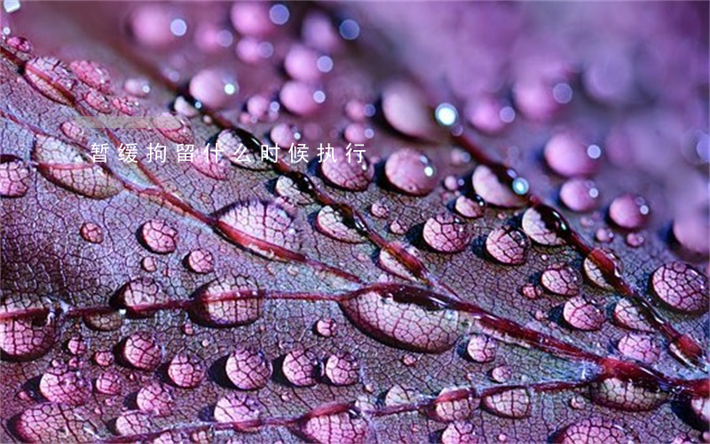 暂缓拘留什么时候执行