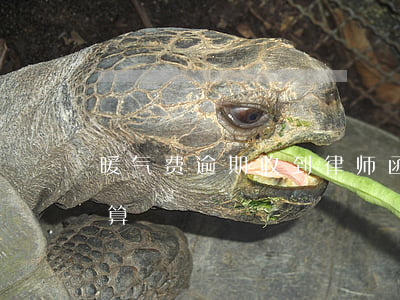 暖气费逾期收到律师函(暖气费逾期费用怎么算)