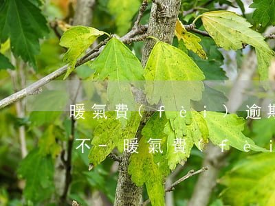 暖氣費(fèi)逾期未交收取滯納金合適不-暖氣費(fèi)逾期未交收取滯納金合適不
